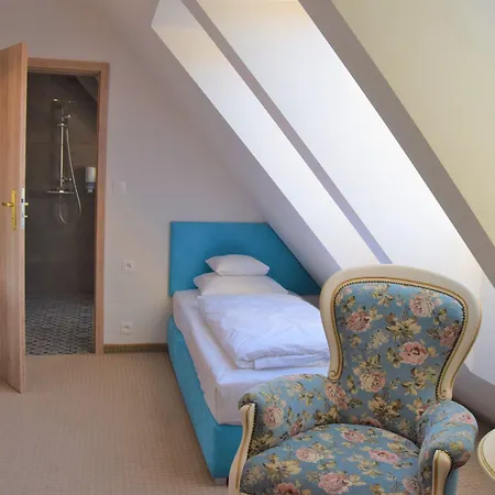 Hotel Paryski Art&Business Zakopane - Basen Jacuzzi Sauna Małpi Gaj-2